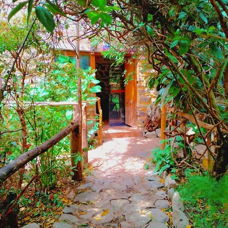Hospedaje K'Uchuwasi Ollantaytambo Dış mekan fotoğraf